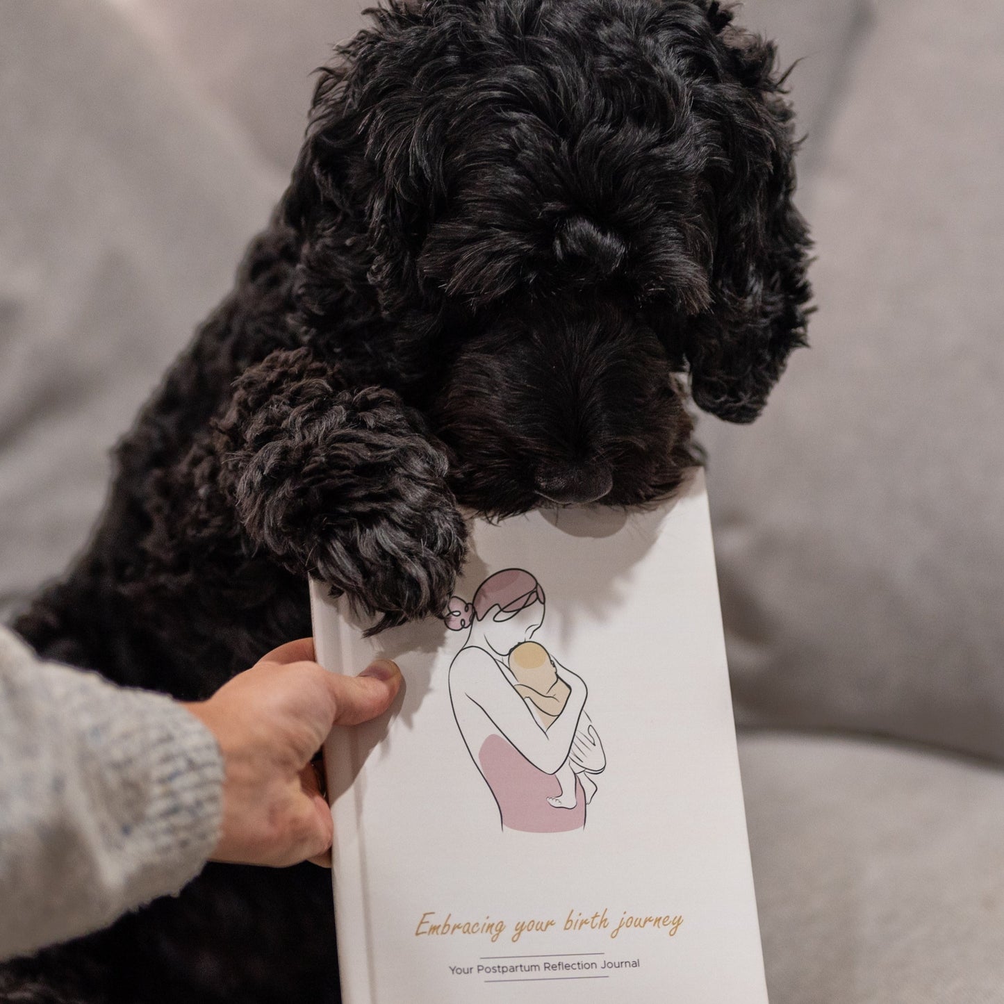 Your Postpartum Self-Reflection Journal